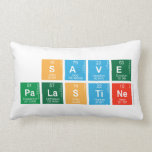 SAVE 
 PALASTINE  Pillows (Lumbar)