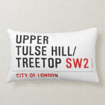 Upper  tulse hill/ Treetop  Pillows (Lumbar)
