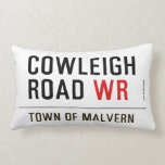 Cowleigh Road  Pillows (Lumbar)