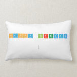 Happy Birthday    Pillows (Lumbar)
