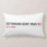 Tottenham Court Road  Pillows (Lumbar)