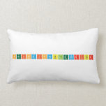 PeriodicTableWriter  Pillows (Lumbar)