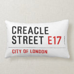 Creacle Street  Pillows (Lumbar)