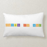 Physics is Cool  Pillows (Lumbar)
