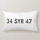 34 SYR 47  Pillows (Lumbar)