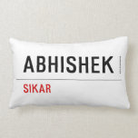 Abhishek  Pillows (Lumbar)