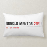 Bonolo Mentor  Pillows (Lumbar)