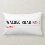 WALDEC ROAD  Pillows (Lumbar)