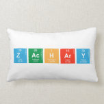 Zachary   Pillows (Lumbar)