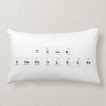 Julia
 Oberholtzer  Pillows (Lumbar)