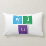 Wu
 Li  Pillows (Lumbar)