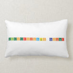 Electroforesis Capilar  Pillows (Lumbar)