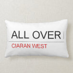 ALL Over  Pillows (Lumbar)