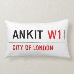 Ankit  Pillows (Lumbar)