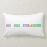 Its My Birthday  Pillows (Lumbar)