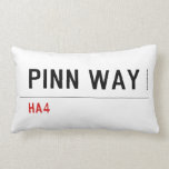 Pinn Way  Pillows (Lumbar)