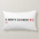 14 month calendar  Pillows (Lumbar)