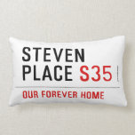 Steven Place  Pillows (Lumbar)