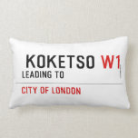  Koketso  Pillows (Lumbar)
