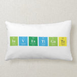 Investigate  Pillows (Lumbar)