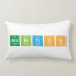 AMBITION  Pillows (Lumbar)
