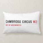 Cambridge Circus  Pillows (Lumbar)