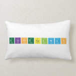 EliotGelwan  Pillows (Lumbar)