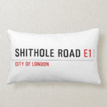 Shithole Road  Pillows (Lumbar)