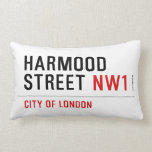 Harmood Street  Pillows (Lumbar)