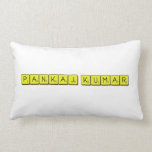 PANKAJ KUMAR  Pillows (Lumbar)