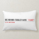 Big Mama Boulevard   Pillows (Lumbar)