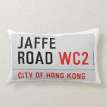Jaffe Road  Pillows (Lumbar)