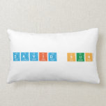 David Sun  Pillows (Lumbar)