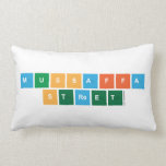 Mussaffa
 Street  Pillows (Lumbar)
