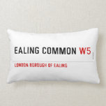 Ealing Common  Pillows (Lumbar)