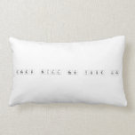 Drugs Will Ruin Your Life  Pillows (Lumbar)