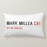 Mark millea  Pillows (Lumbar)