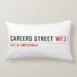 CAREERS STREET  Pillows (Lumbar)