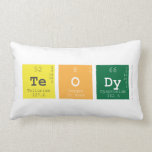 teody  Pillows (Lumbar)