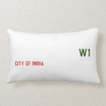 Rayyan Raza  Pillows (Lumbar)