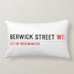 BERWICK STREET  Pillows (Lumbar)