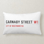 Carnaby street  Pillows (Lumbar)