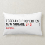 Toseland Properties New Square  Pillows (Lumbar)