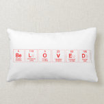 Beloved  Pillows (Lumbar)