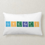 congrats  Pillows (Lumbar)