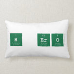 H ero  Pillows (Lumbar)