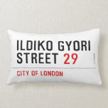 Ildiko Gyori Street  Pillows (Lumbar)