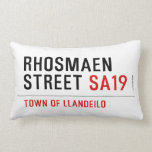 Rhosmaen Street  Pillows (Lumbar)