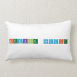 Breaking Reddit  Pillows (Lumbar)