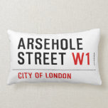 Arsehole Street  Pillows (Lumbar)